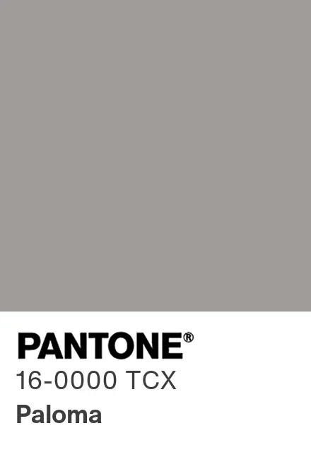 Cor Fendi Pantone 16-0000 TCX