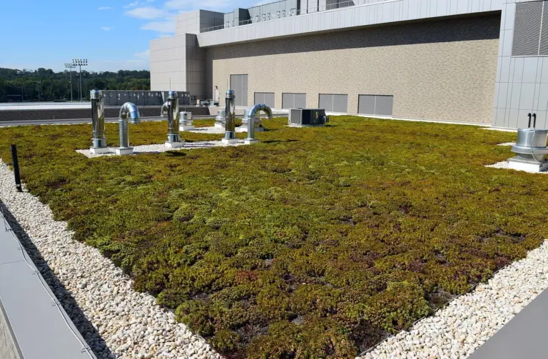 Materiais de construção sustentáveis: como comparar benefícios e limitações
