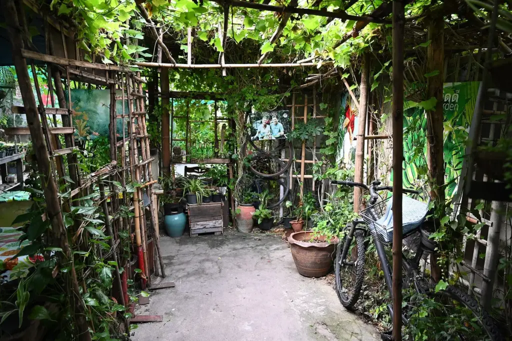 Quintal pequeno com pérgola de bambu coberta de trepadeiras, vasos e plantas