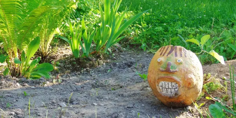 Enfeites de cimento para jardim: ideias e cuidados para fazer peças pequenas